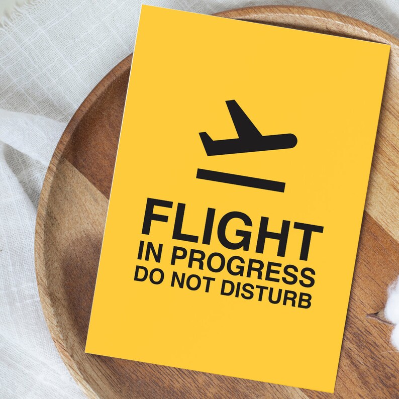 Flight In Progress Do Not Disturb Art Print