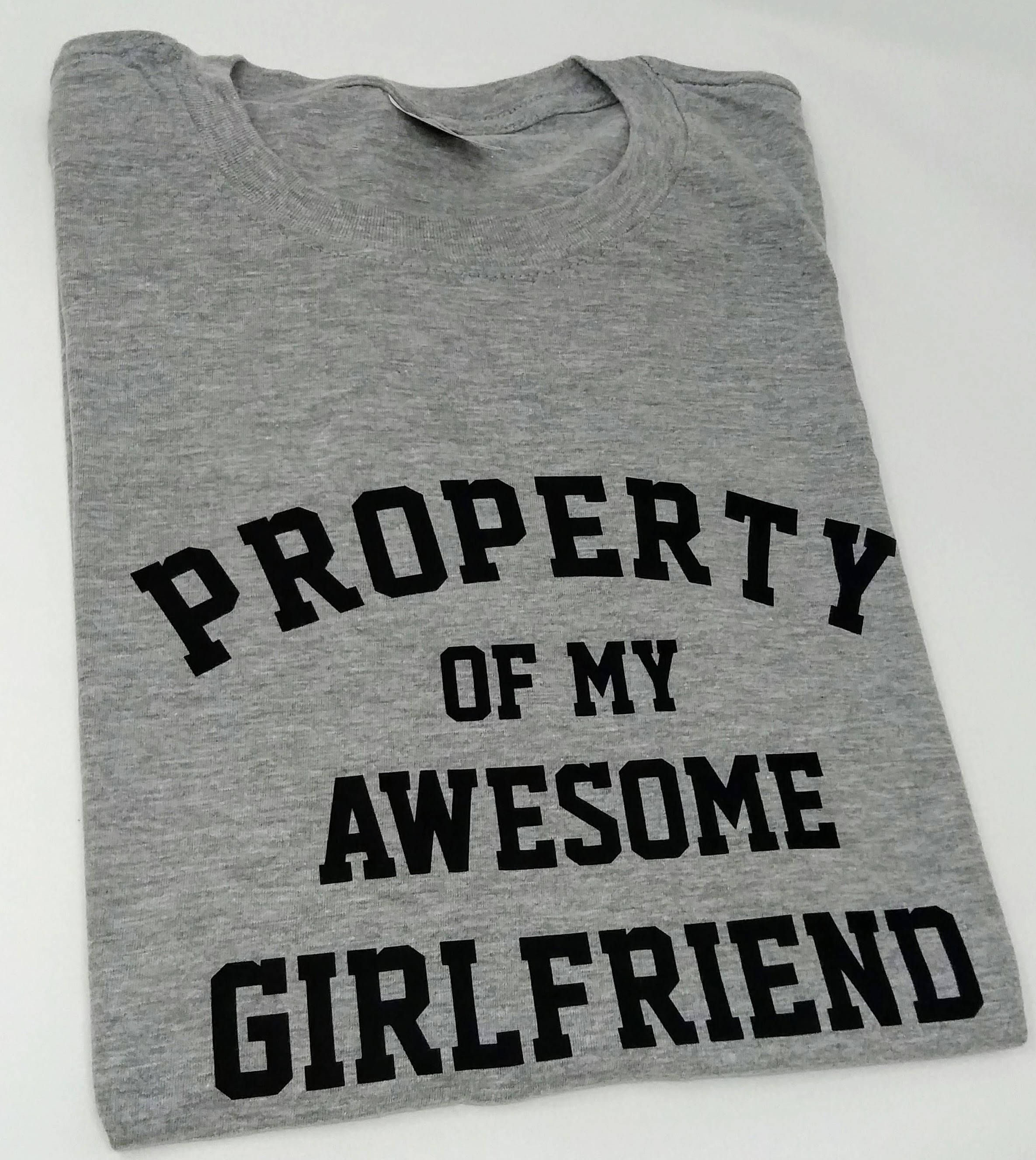 Property of My Awesome Girlfriend Mens Funny T-shirt