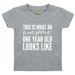 Load image into Gallery viewer, This Is What An Awesome One Year Old Looks Like Kids T-shirt
